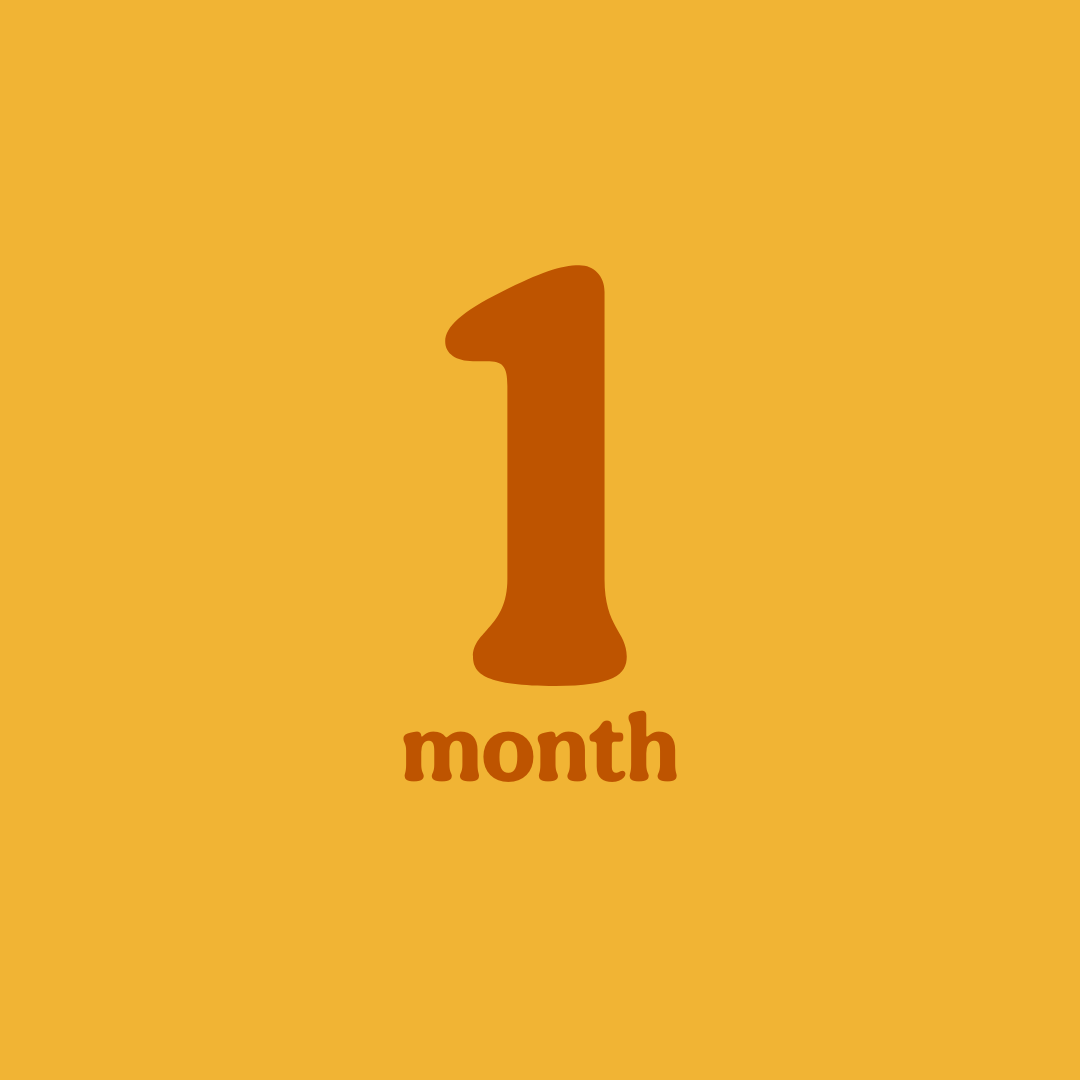 1 Month Subscription - Book Box