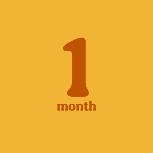 1 Month Subscription - Book Box